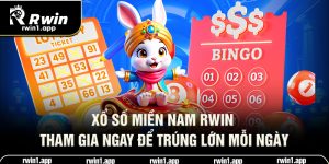 xo-so-mien-nam-rwin-tham-gia-ngay-de-trung-lon-moi-ngay