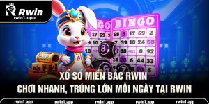 xo-so-mien-bac-rwin-choi-nhanh-trung-lon-moi-ngay-tai-rwin