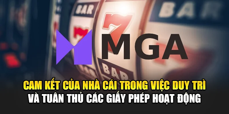cam-ket-cua-nha-cai-trong-viec-duy-tri-va-tuan-thu-cac-giay-phep-hoat-dong